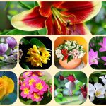Muốn thành lập công ty cổ phần Cao Bằng