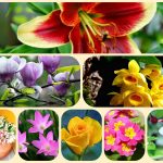 Thành lập công ty cổ phần tại Điện Biên 6 Muốn thành lập công ty cổ phần Điện Biên
