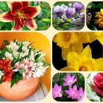 Thành lập công ty cổ phần tại Hà Giang 6 Muốn thành lập công ty cổ phần Hà Giang