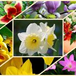 Thành lập công ty cổ phần tại Hòa Bình 6 Muốn thành lập công ty cổ phần Hòa Bình