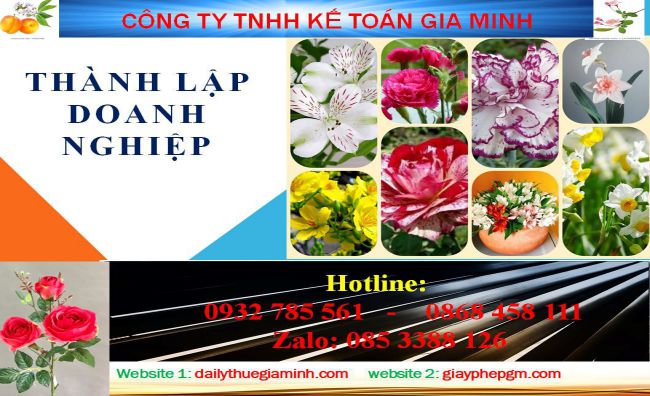 Thành lập công ty cổ phần tại Hòa Bình 4 Thủ tục thành lập công ty cổ phần Hòa Bình
