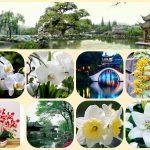 Thành lập công ty cổ phần tại Huyện Cần Giờ 6 Muốn thành lập công ty cổ phần Huyện Cần Giờ