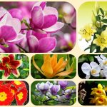 Thành lập công ty cổ phần tại Huyện Cờ Đỏ 6 Muốn thành lập công ty cổ phần Huyện Cờ Đỏ