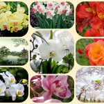 Thành lập công ty cổ phần tại Huyện Nhà Bè 6 Muốn thành lập công ty cổ phần Huyện Nhà Bè