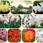 Thành lập công ty cổ phần tại huyện Phú Giáo 6 Muốn thành lập công ty cổ phần huyện Phú Giáo