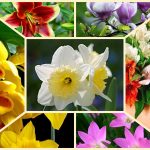 Muốn thành lập công ty cổ phần Khánh Hòa