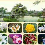 Muốn thành lập công ty cổ phần Kiên Giang