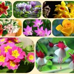 Thành lập công ty cổ phần tại Lai Châu 6 Muốn thành lập công ty cổ phần Lai Châu