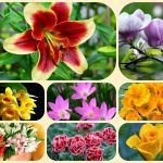 Thành lập công ty cổ phần tại Nam Định 6 Muốn thành lập công ty cổ phần Nam Định