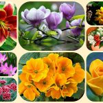 Thành lập công ty cổ phần tại Ninh Bình 6 Muốn thành lập công ty cổ phần Ninh Bình