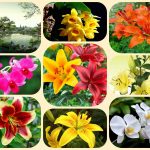 Thành lập công ty cổ phần tại Phú Thọ 6 Muốn thành lập công ty cổ phần Phú Thọ