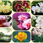 Thành lập công ty cổ phần tại Quận 12 6 Muốn thành lập công ty cổ phần Quận 12