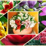 Thành lập công ty cổ phần tại Quảng Ninh 6 Muốn thành lập công ty cổ phần Quảng Ninh