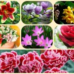 Thành lập công ty cổ phần tại Sơn La 6 Muốn thành lập công ty cổ phần Sơn La