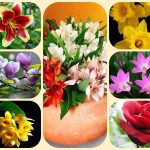 Thành lập công ty cổ phần tại Thái Bình 6 Muốn thành lập công ty cổ phần Thái Bình