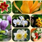 Thành lập công ty cổ phần tại Thái Nguyên 6 Muốn thành lập công ty cổ phần Thái Nguyên