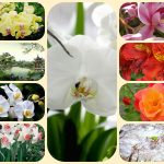 Thành lập công ty cổ phần tại Thị xã Dĩ An 6 Muốn thành lập công ty cổ phần Thị xã Dĩ An