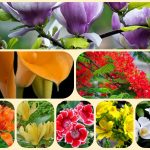 Muốn thành lập công ty cổ phần TPHCM