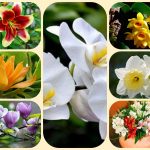 Thành lập công ty cổ phần tại Tuyên Quang 6 Muốn thành lập công ty cổ phần Tuyên Quang