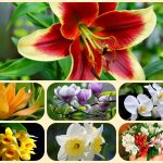 Thành lập công ty cổ phần tại Vĩnh Phúc 6 Muốn thành lập công ty cổ phần Vĩnh Phúc
