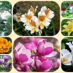 Thành lập công ty cổ phần tại Vũng Tàu 6 Muốn thành lập công ty cổ phần Vũng Tàu