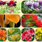 Thành lập công ty cổ phần tại Yên Bái 6 Muốn thành lập công ty cổ phần Yên Bái