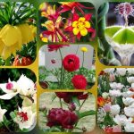 Thành lập công ty giá rẻ ở Đà Nẵng 6 Muốn thành lập công ty giá rẻ tại Đà Nẵng