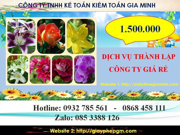 Thành lập công ty giá rẻ ở Hải Phòng 5 Chi phí thành lập công ty giá rẻ ở Hải Phòng
