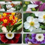 Thành lập công ty giá rẻ ở Hải Phòng 6 Muốn thành lập công ty giá rẻ tại Hải Phòng