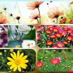 Thành lập công ty giá rẻ ở huyện Củ Chi 6 Muốn thành lập công ty giá rẻ tại huyện Củ Chi