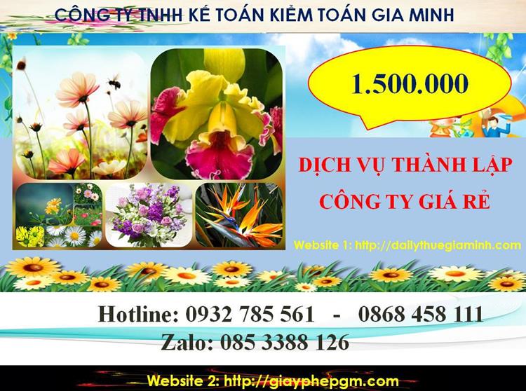 Chi phí thành lập công ty giá rẻ ở Lai Châu