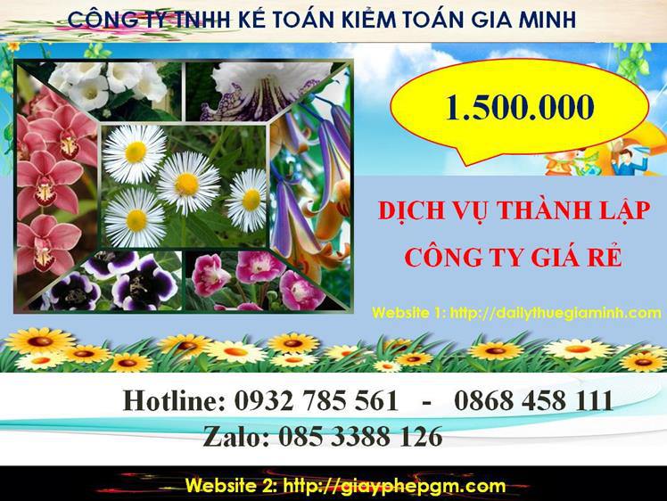 Thành lập công ty giá rẻ ở Lào Cai 5 Chi phí thành lập công ty giá rẻ ở Lào Cai