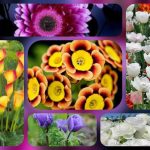 Thành lập công ty giá rẻ ở Lào Cai 6 Muốn thành lập công ty giá rẻ tại Lào Cai