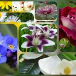 Thành lập công ty giá rẻ ở Quận Phú Nhuận 6 Muốn thành lập công ty giá rẻ tại Quận Phú Nhuận