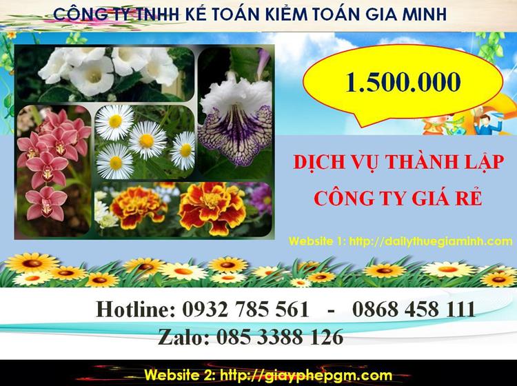 Chi phí thành lập công ty giá rẻ ở Quãng Bình