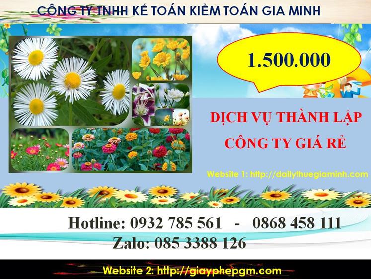 Thành lập công ty giá rẻ ở thành phố Hồ Chí Minh 5 Chi phí thành lập công ty giá rẻ ở thành phố Hồ Chí Minh