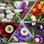 Thành lập công ty giá rẻ ở thành phố Hồ Chí Minh 6 Muốn thành lập công ty giá rẻ tại thành phố Hồ Chí Minh