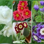 Thành lập công ty giá rẻ ở Tuyên Quang 6 Muốn thành lập công ty giá rẻ tại Tuyên Quang