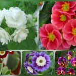 Thành lập công ty giá rẻ ở Yên Bái 6 Muốn thành lập công ty giá rẻ tại Yên Bái