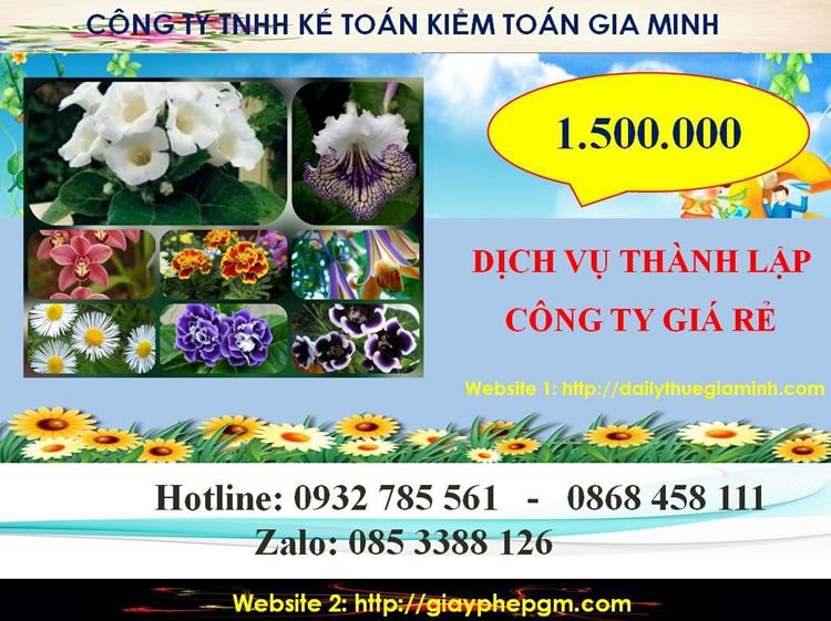 Thành lập công ty giá rẻ ở Yên Bái 5 Chi phí thành lập công ty giá rẻ ở Yên Bái