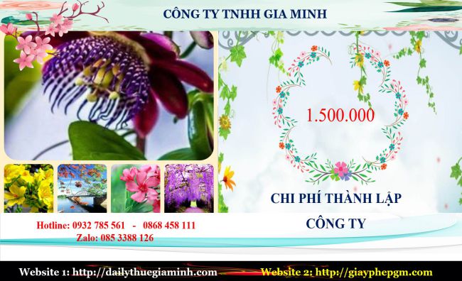 Dịch vụ thành lập doanh nghiệp tại Đà Nẵng 5 Chi phí thành lập doanh nghiệp tại Đà Nẵng