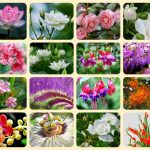 Thành lập công ty tại Đồng Tháp 3 Muốn thành lập doanh nghiệp tại Đồng Tháp