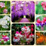 Muốn thành lập doanh nghiệp tại Huyện Bình Chánh