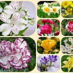 Thành lập công ty tại Quận Hoàng Mai - Dịch vụ uy tín, chi phí tối ưu 6 Muốn thành lập doanh nghiệp tại Quận Hoàng Mai