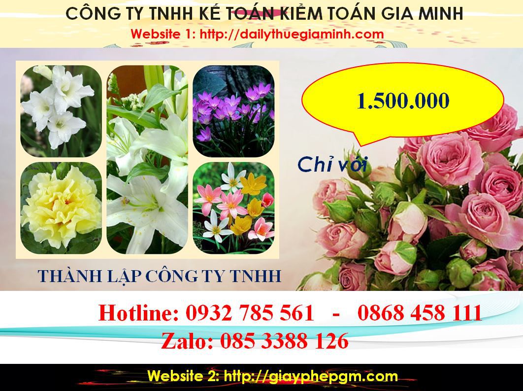 Thành lập công ty TNHH tại Cần Thơ 5 chi phí Thành lập công ty TNHH tại Cần Thơ