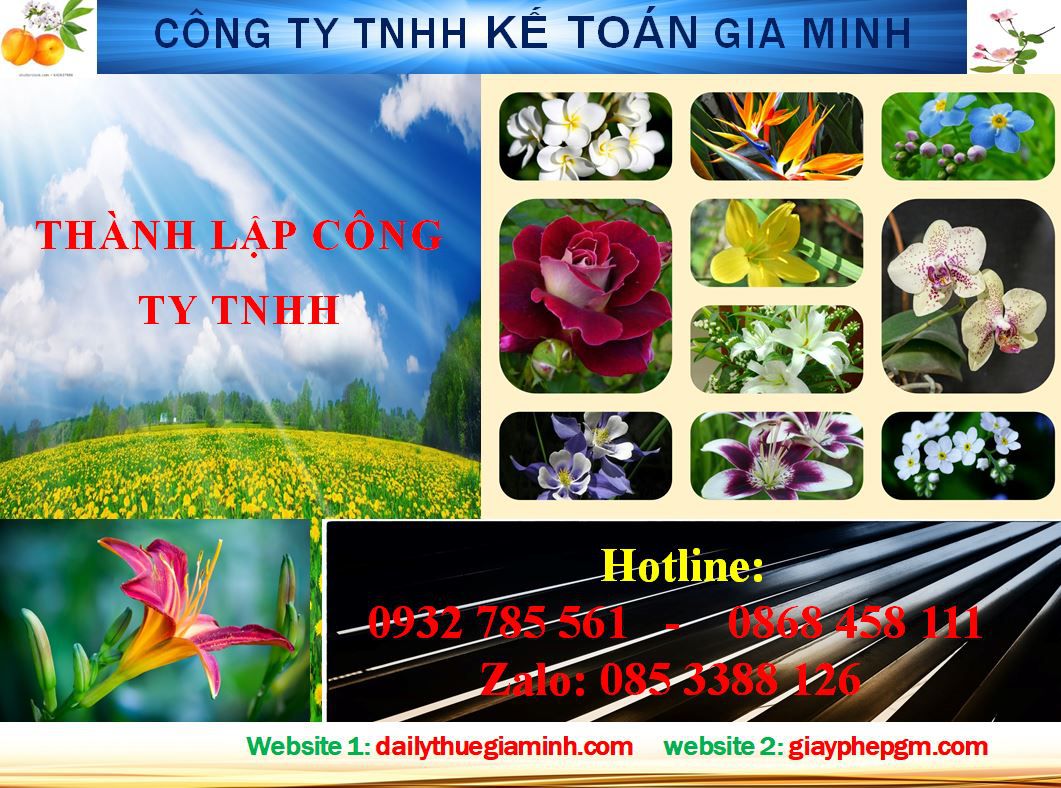 Thành lập công ty TNHH tại Cần Thơ 4 thủ tụcThành lập công ty TNHH tại Cần Thơ
