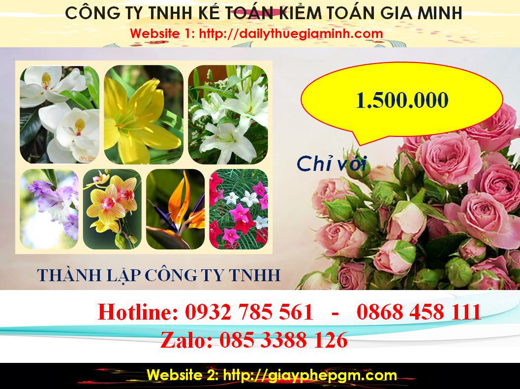 Chi phí thành lập công ty TNHH tại Đà Nẵng