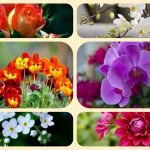 Thành lập công ty TNHH tại Điện Biên 6 Muốn Thành lập công ty TNHH tại Điện Biên
