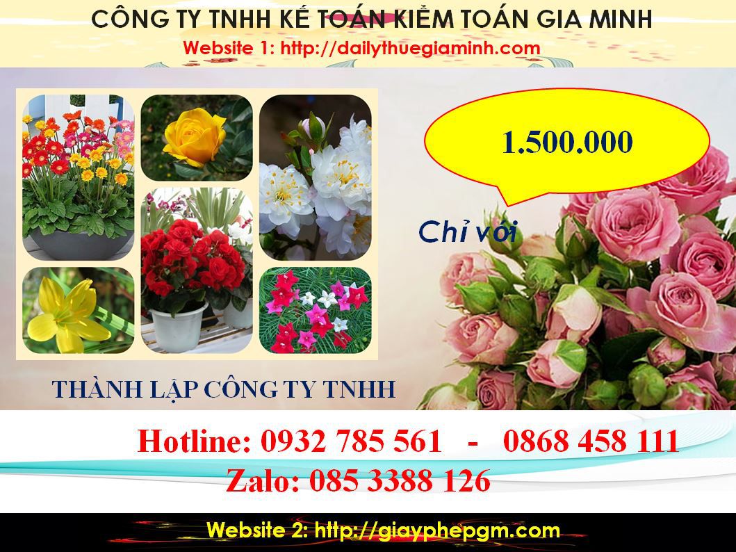 Thành lập công ty TNHH tại Điện Biên 5 Chi Phí Thành lập công ty TNHH tại Điện Biên