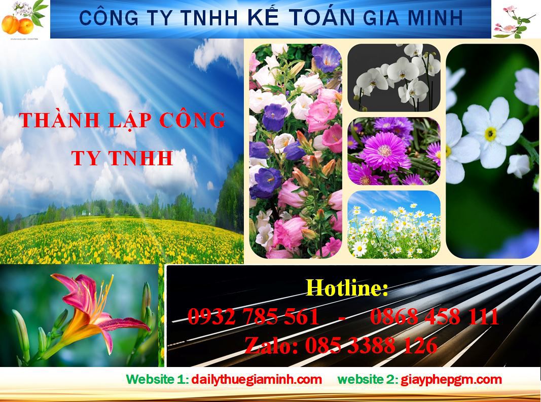 Thành lập công ty TNHH tại Điện Biên 4 Dịch vụ Thành lập công ty TNHH tại Điện Biên